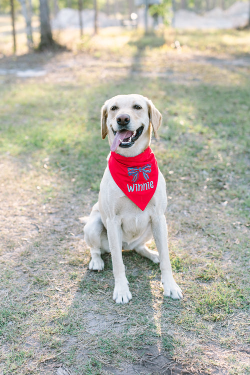 Bow Design Patriotic Personalized Dog Bandana / Scrunchie Style