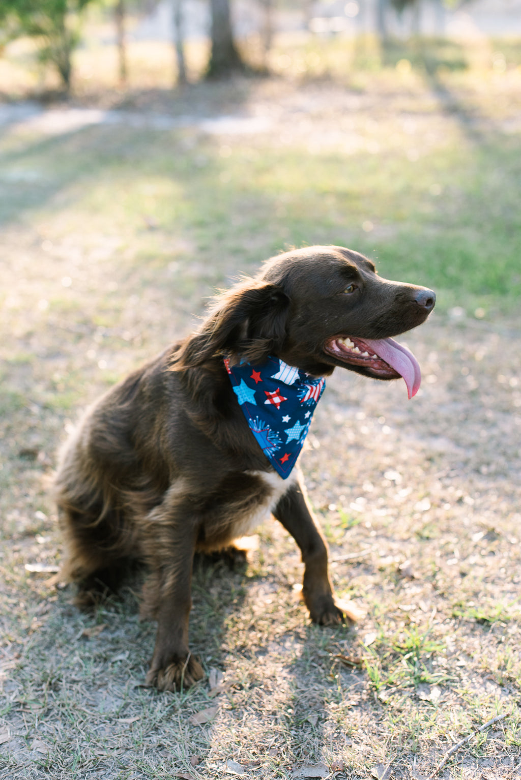 Stars & Stripes Forever Patriotic Dog Bandana / Scrunchie Style