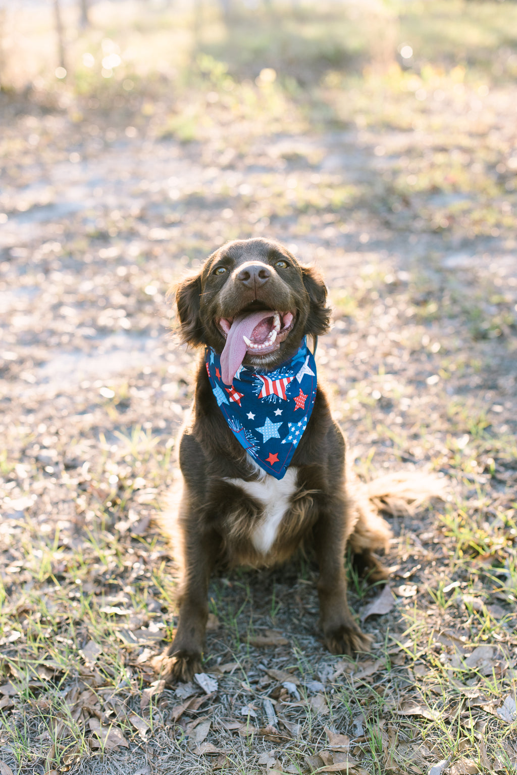Stars & Stripes Forever Patriotic Dog Bandana / Scrunchie Style